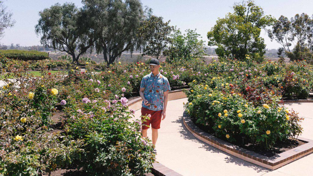 A man looks at flowers in a garden in Balboa Park